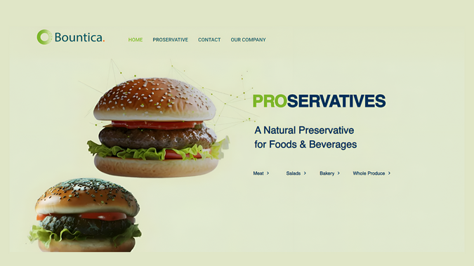 Bountica: Foodtech startup