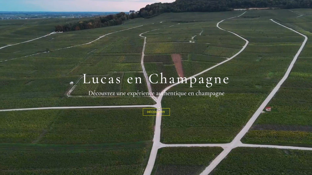 Lucas En Champagne: Visites guidées des maisons productrices de Champagne