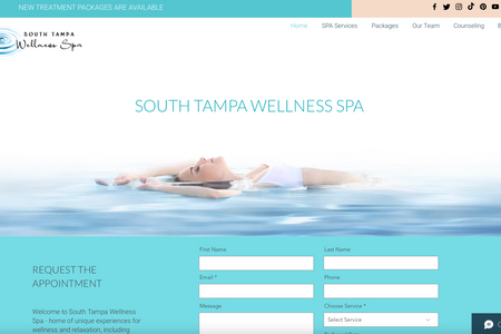 South Tampa Wellness: Website for Welness SPA in South Tampa