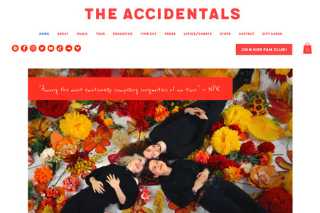 eCommerce Website - The Accidentals: Client: Sony Music Entertainment
Full Branding, Visual System, Illustrations, Webdesign, UI/UX, SEO
Installed Apps: Wix Stores