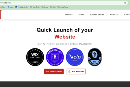 iView Labs Pvt. Ltd.: business website development 