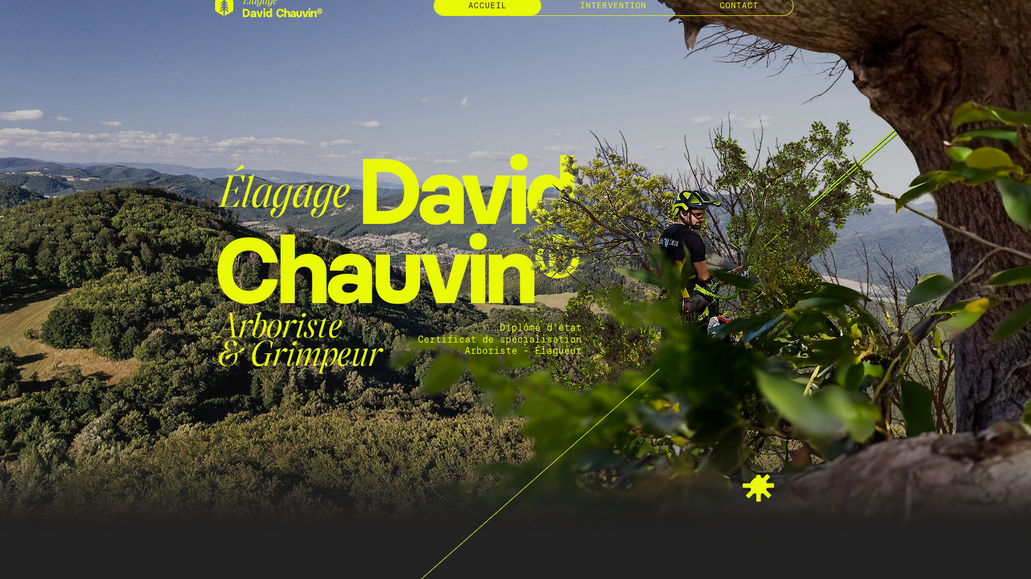 David Chauvin: Création d'un site ONEPAGE impactant pour l'artisan élagueur David Chauvin
