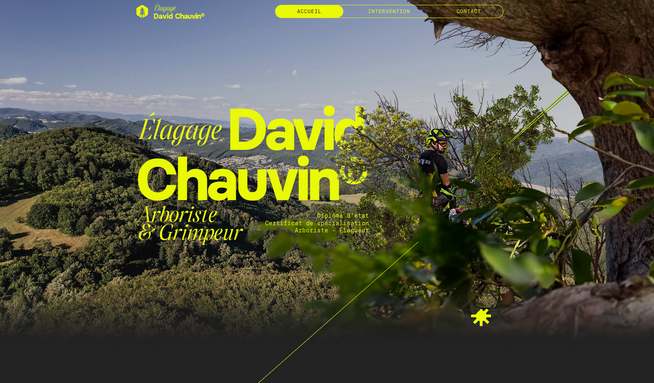 David Chauvin: Création d'un site ONEPAGE impactant pour l'artisan élagueur David Chauvin