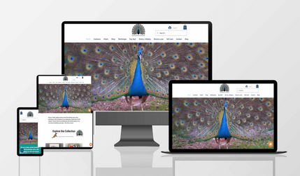 Restoration Creation: Client has a gallery and restoration space that delivers workshops on up cycling.  I created the site around a store and booking services and added the video I created for her in the hero section of her site