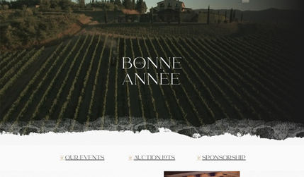 charity organization: Tresbonneannee.org is a non profit organization featuring private events and wine auctions 