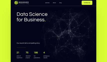 Bodaghee Consulting: undefined