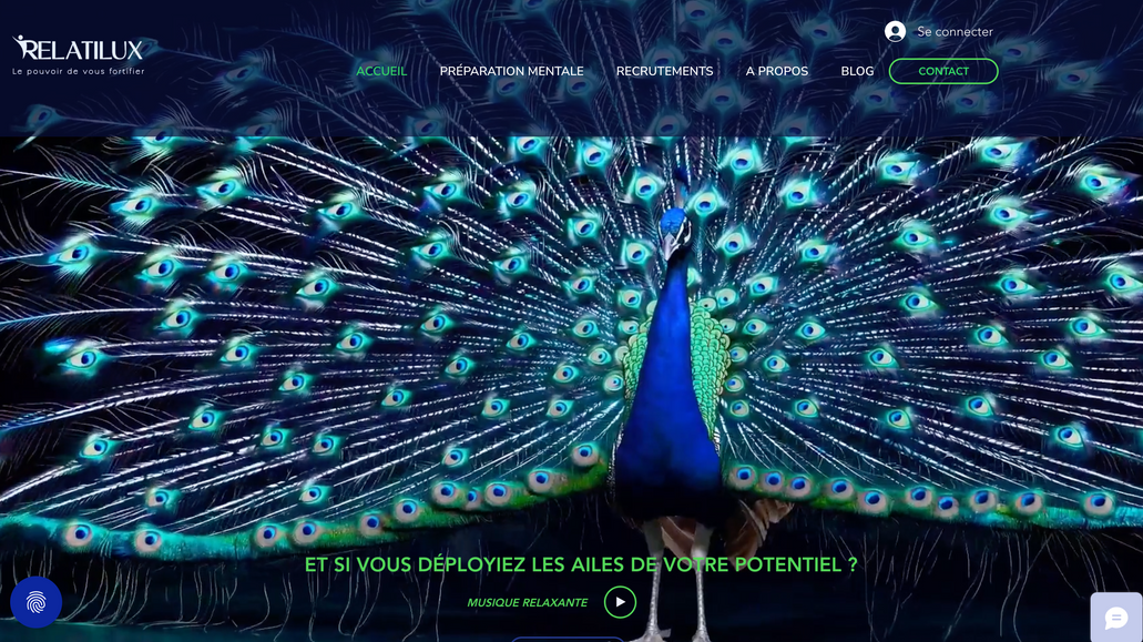 RELATILUX: Refonte totale du site pour Relatilux