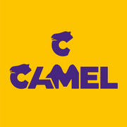 CAMEL Consultoria 