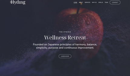 The Hyding: Branding and website design.