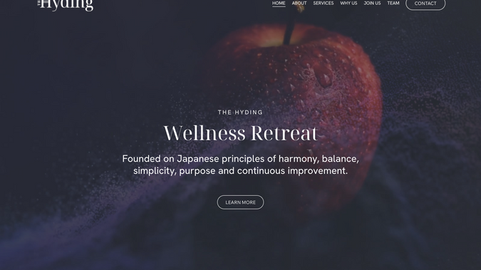 The Hyding: Branding and website design.