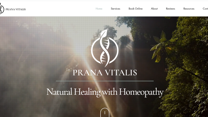 Prana Vitalis Homeopathy: SEO Optimierung