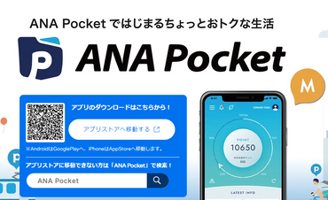 ANA Pocket2024