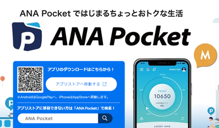 ANA Pocket2024: undefined