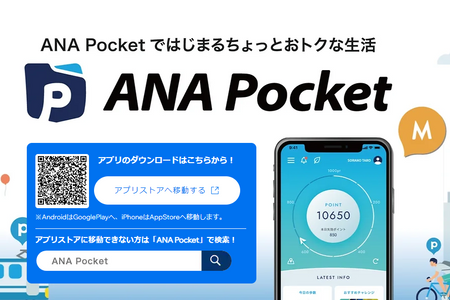 ANA Pocket2024: undefined