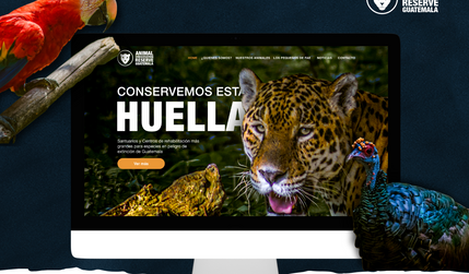 Animal Conservation Guatemala: Singular Agency is proud to present a compelling case study showcasing our successful collaboration with a nonprofit organization dedicated to the protection and preservation of diverse animal species and their habitats. Our team was entrusted with the creation of a cutting-edge website called "Animal Conservation," which serves as the official online platform for this esteemed organization. In this case study, we will explore the challenges, solutions, and remarkable outcomes achieved through our partnership.

Technology: Editor X