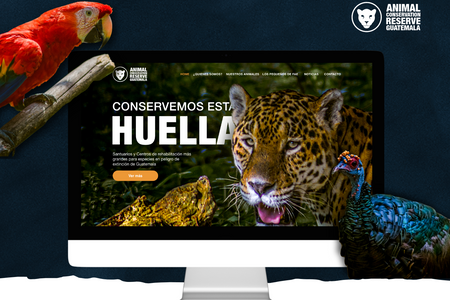 Animal Conservation Guatemala: Singular Agency is proud to present a compelling case study showcasing our successful collaboration with a nonprofit organization dedicated to the protection and preservation of diverse animal species and their habitats. Our team was entrusted with the creation of a cutting-edge website called "Animal Conservation," which serves as the official online platform for this esteemed organization. In this case study, we will explore the challenges, solutions, and remarkable outcomes achieved through our partnership.

Technology: Editor X