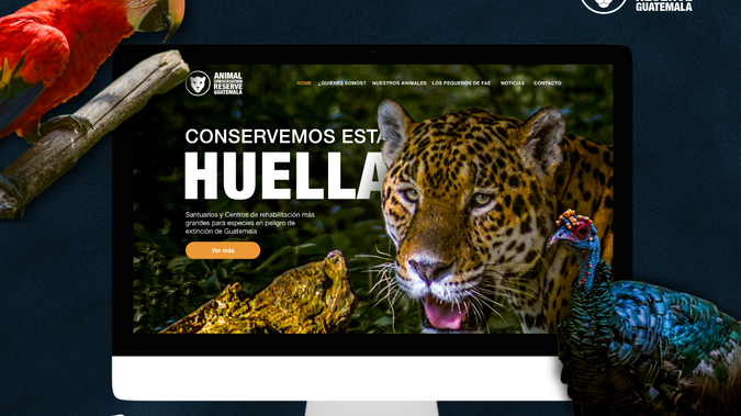 Animal Conservation Guatemala: Singular Agency is proud to present a compelling case study showcasing our successful collaboration with a nonprofit organization dedicated to the protection and preservation of diverse animal species and their habitats. Our team was entrusted with the creation of a cutting-edge website called "Animal Conservation," which serves as the official online platform for this esteemed organization. In this case study, we will explore the challenges, solutions, and remarkable outcomes achieved through our partnership.

Technology: Editor X