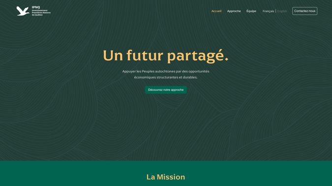 IPNQ: Bi-lingual Website Redesign | Website Migration from Wordpress | On-Page SEO