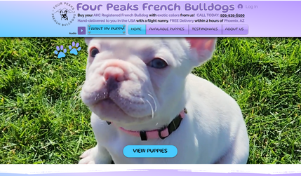French Bulldogs: Custom Wix Website Design & SEO for Dog Breeder in Phoenix AZ Arizona (Custom Website Development)
