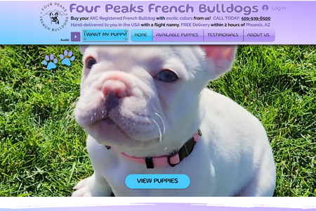 French Bulldogs: Website Design & SEO