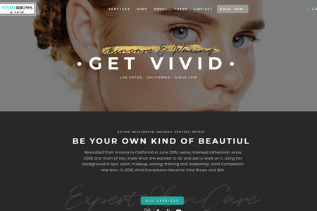 Vivid Brows and Skin Website Design: 