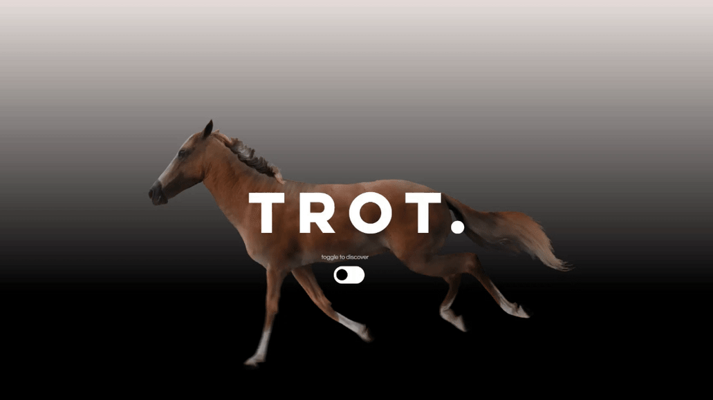 Trot Management: Branding, psychological implementation, content development, web design and business consultation.