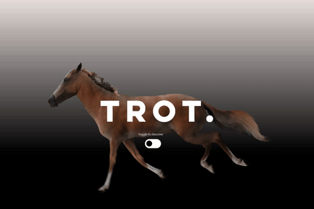 Trot Management: Branding, psychological implementation, content development, web design and business consultation.