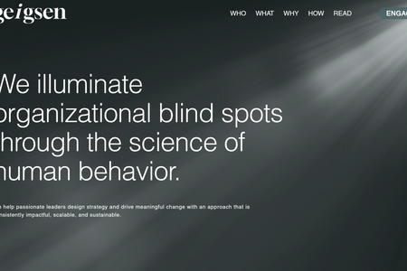 Geigsen: The most intriguing consulting company website you will ever see!