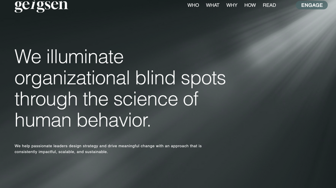 Geigsen: The most intriguing consulting company website you will ever see!