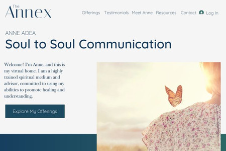 Spiritual Advisor: A Bookings website with custom branding, logo design and blog.