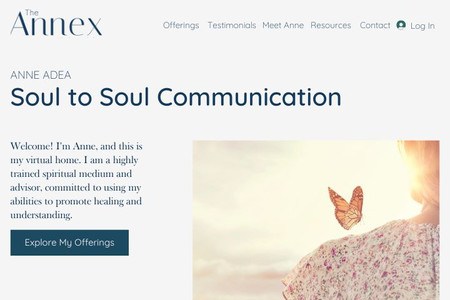 Spiritual Advisor: A Bookings website with custom branding, logo design and blog.