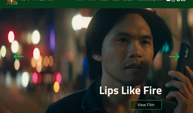 Indie Film Production: Advanced Portfolio built on Wix Studio with custom Content Management Database and coding.