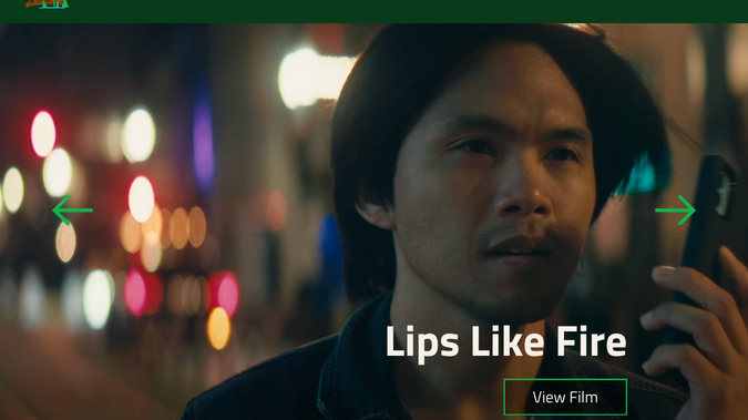 Indie Film Production: Advanced Portfolio built on Wix Studio with custom Content Management Database and coding.