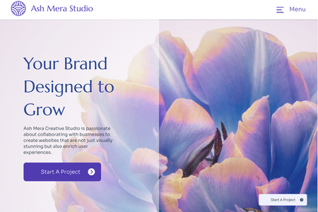 Ash Mera Studio: undefined