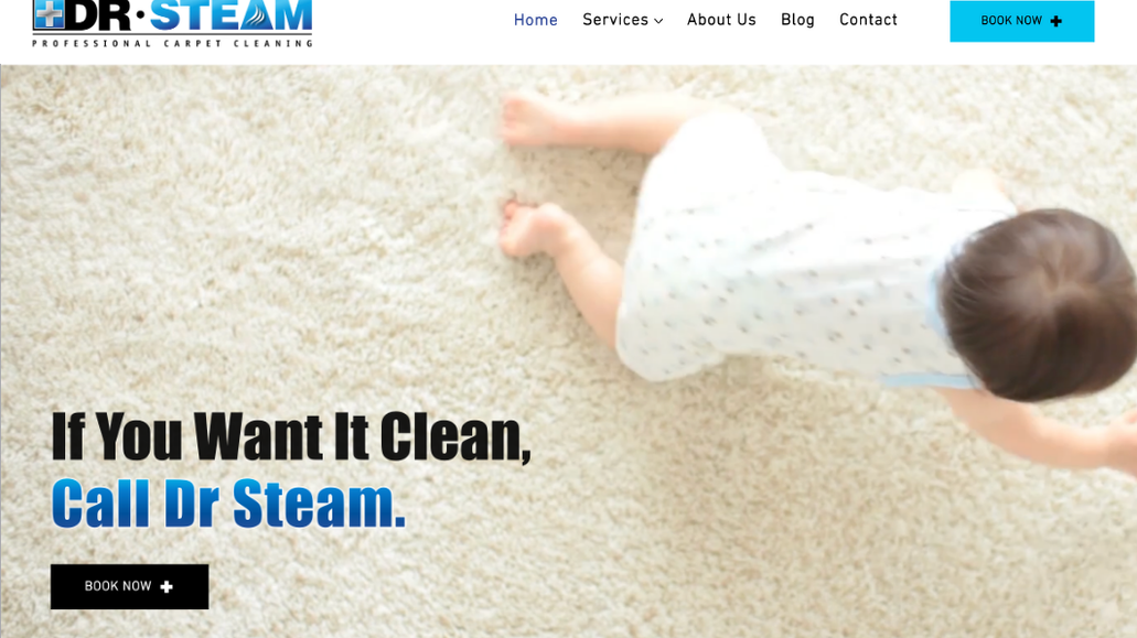 Dr Steam Professional Carpet Cleaning: Carpet cleaning company, CMS portfolio, integrated with 3rd party booking system. SEO and branding package.