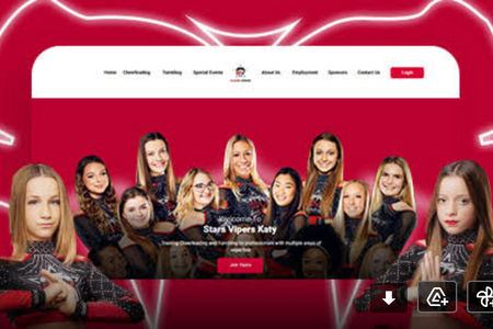Stars Vipers : We did a full website redesign for Stars Vipers, they wanted to update the look and feel of their website. They also purchased SEO and content writing to make the site more engaging and increase traffic.
