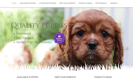 K9 Cavaliers: Website for King Charles Cavalier breeder, showcasing the breed and promoting when new puppies are available.