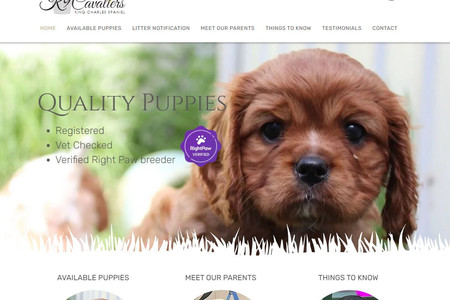 K9 Cavaliers: Website for King Charles Cavalier breeder, showcasing the breed and promoting when new puppies are available.