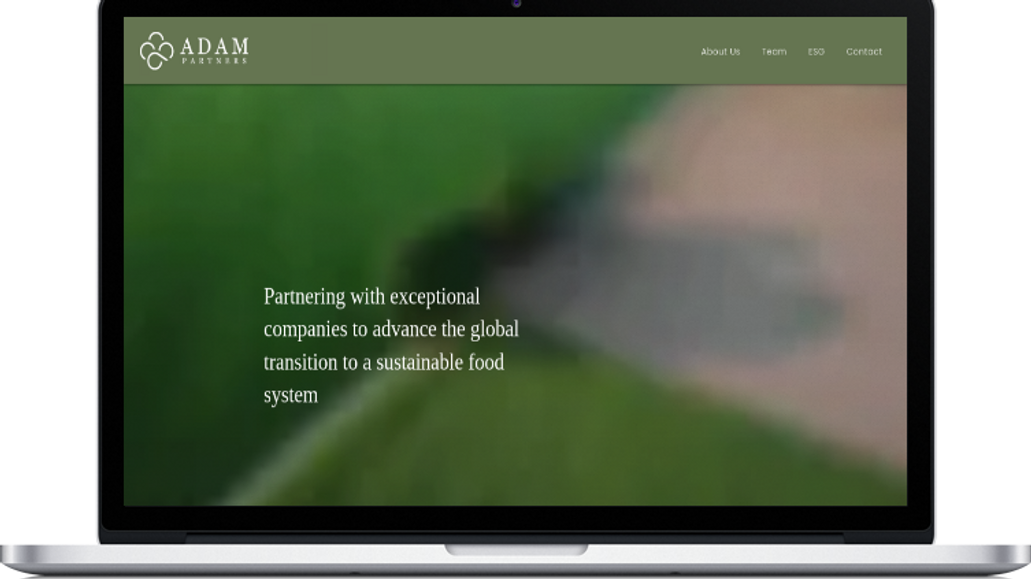 Adam Partners: undefined