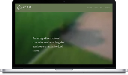 Adam Partners: undefined