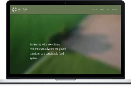 Adam Partners: undefined