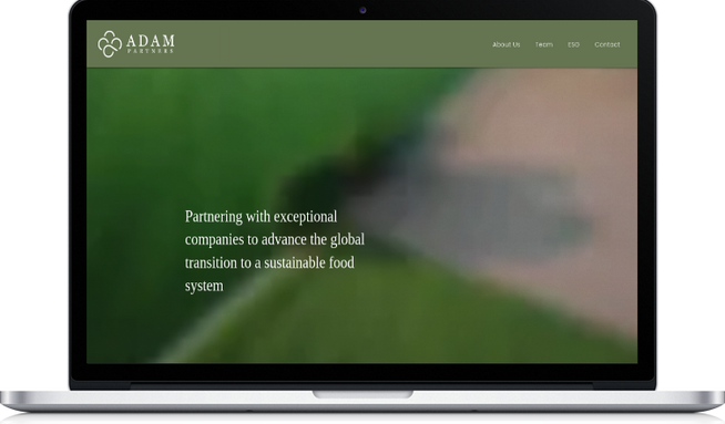 Adam Partners: undefined