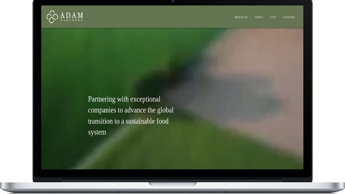 Adam Partners: undefined