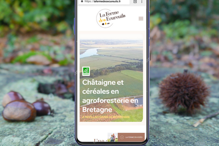 La Ferme des Écureuils: La châtaigne bretonne, vous connaissez ? Installée à Nivillac dans le Morbihan, La Ferme des Écureuils s'étend sur 40ha dont 7 sont dédiés à des vergers de châtaignes cultivés en agroforesterie et en agricultre biologique.