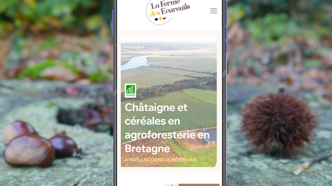 La Ferme des Écureuils: La châtaigne bretonne, vous connaissez ? Installée à Nivillac dans le Morbihan, La Ferme des Écureuils s'étend sur 40ha dont 7 sont dédiés à des vergers de châtaignes cultivés en agroforesterie et en agricultre biologique.