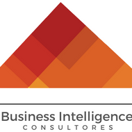 Business Intelligence Consultores (BINT)