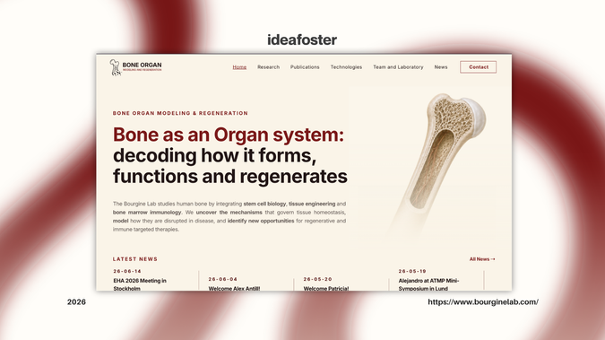 Bone Organ Modeling Regeneration: Full website redesign and rebranding for the Bourgine Lab, a scientific laboratory focused on bone organ modeling and regeneration. We created a refined scientific visual identity and built a modern, scalable, self-managed site in Wix Studio, with a CMS for research, publications and team, CRM-connected forms and SEO optimization. The outcome is a contemporary academic platform that works as an extended professional business card and knowledge hub for the global scientific community.