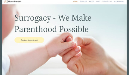 Nova Parent: The Nova Parent company specializes in surrogacy services. Completed: website redesign, unique style created, Online Booking and SEO configured. The website contains dynamic elements, social networks and a feedback form are connected. Cooperation continues.
