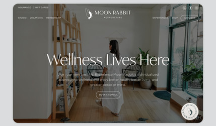 Moon Rabbit: UI, UX, Development + Copywriting for boutique wellness brand