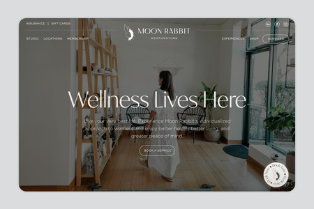 Moon Rabbit: UI, UX, Development + Copywriting for boutique wellness brand